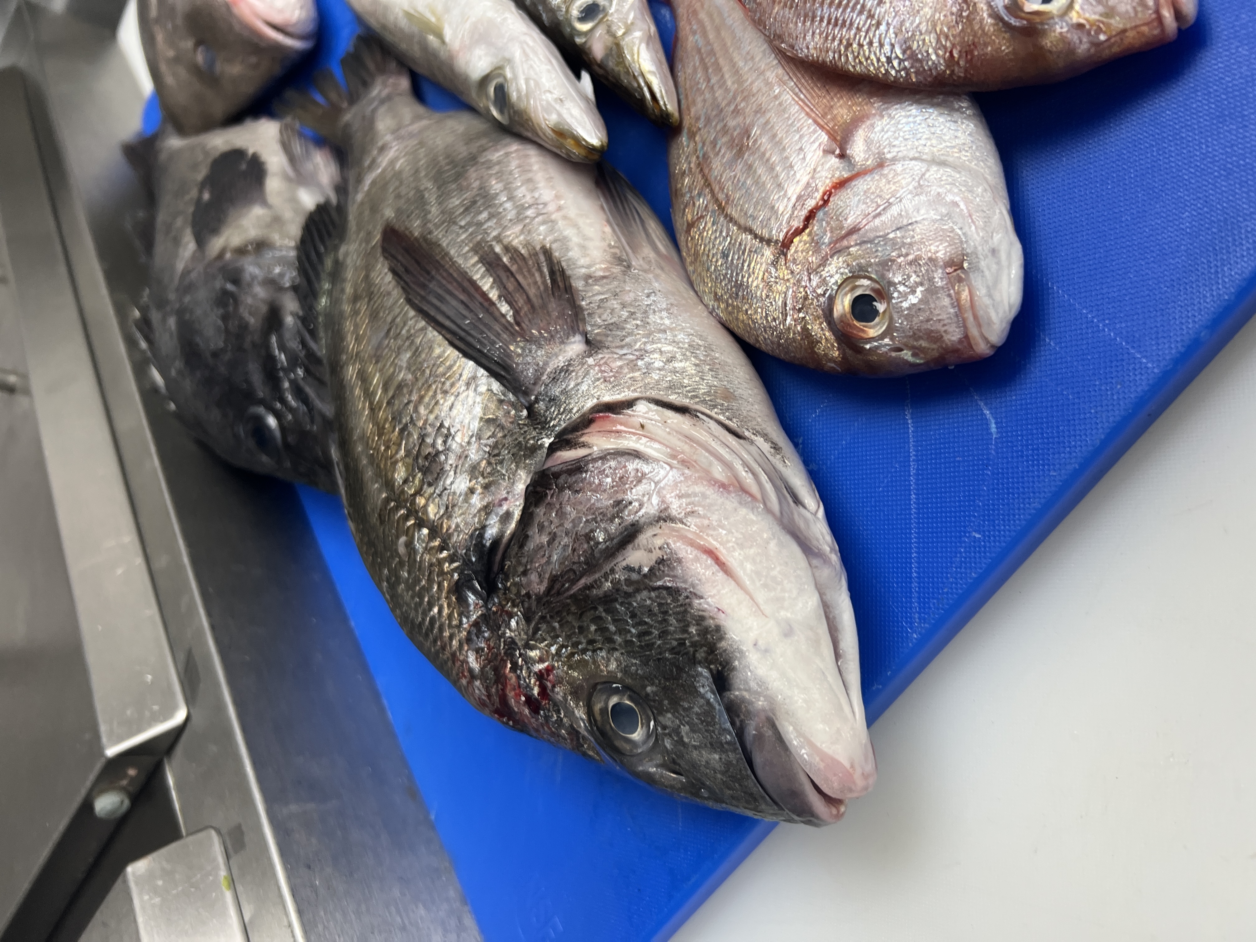 A Note on Sourcing: Tuesday at the Dock