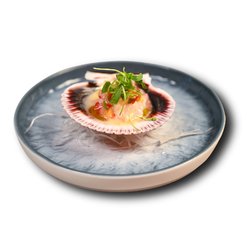 Scallop tartare served in its shell